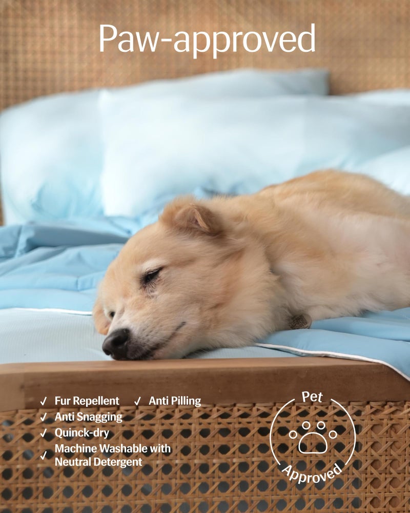 REST Evercool+ Cooling Sheet Set, Full Size, Light Blue, Breathable Bed Sheets for Hot Sleeper and Night Sweats, with Pillowcases, with Ionic+ Self-Cleaning Silver Yarn for Sensitive Skin, 4PCS - Image 4